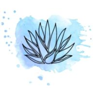 Agave Plumbing