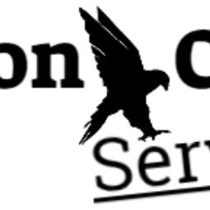 Falcon Cleaning Services LLC - Logo