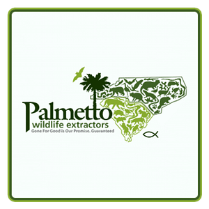 Palmetto Wildlife Extractors