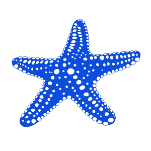 BlueStar Real Estate