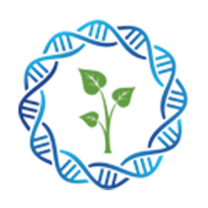Stem Regen Medical - Logo