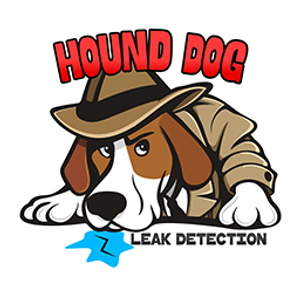 Hound Dog Leak Detection - Logo