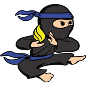 Propane Ninja - Logo