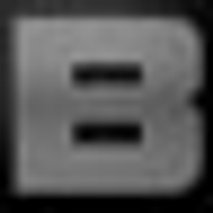 The Village Builder, Inc