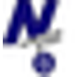 Nichols Controls & Supply LLC - Logo