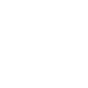 Carolina Pools and Maintenance - Logo