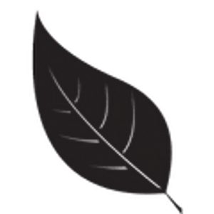 AJ Production Company - Logo