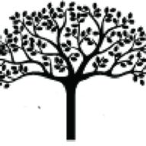 All American Tree Service