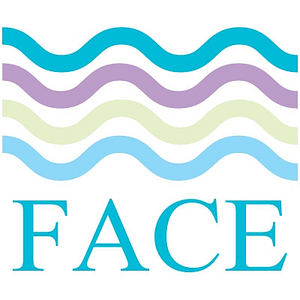 FACEmedspa - Logo