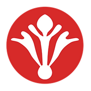 Show to Sell Staging - Logo