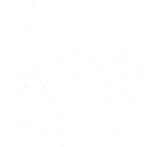 ZION LAWN & LANDSCAPE LLC