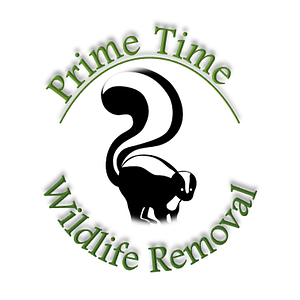 Prime Time Wildlife Removal - Logo