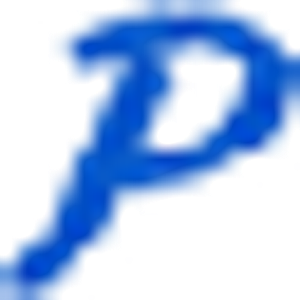 Perfection Pools - Logo