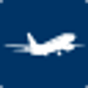 Fly Branson Travel - Logo