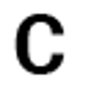Casey’s Charters - Logo