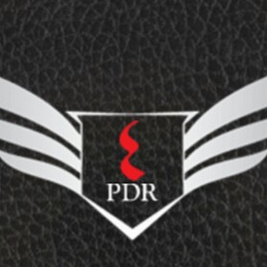 EXCLUSIVE Paintless Dent Repair - Logo