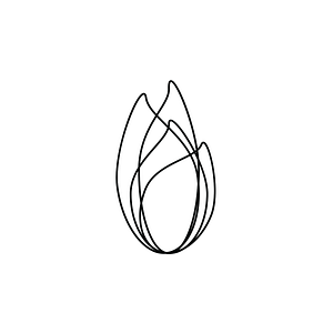 7th Street Candle Co - Candle store in Austin