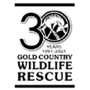 Gold Country Wildlife Rescue - Logo