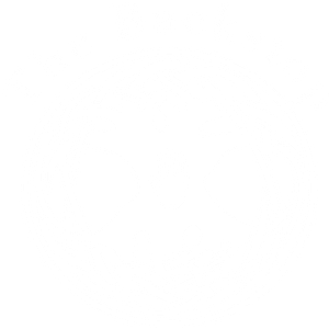 Back Stop Seated Massage - Logo