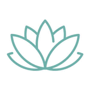 ROK SPAS - Logo