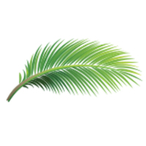 Key West Bed and Breakfast® - Logo