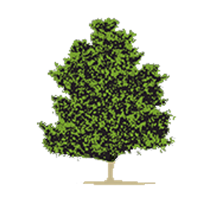 Walton Farms, LLC
