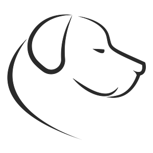 Petcare Animal Hospital