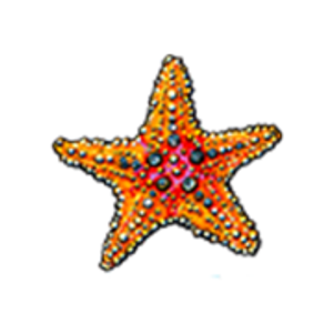 Evert Williams, Real Estate Professional - Logo