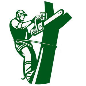 Advanced Tree Service & Landscaping