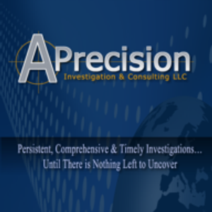 Precision Investigations - Logo