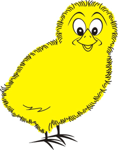 A Chick & A Windshield - Logo
