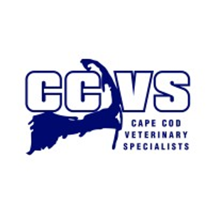 Cape Cod Veterinary Specialists - Logo
