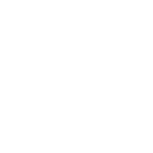 Precision Landscape