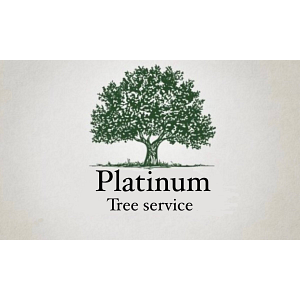 Platinum Tree Service - Tree service in Dallas