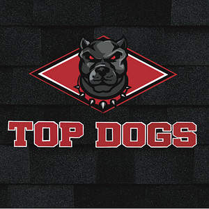 TopDogs Roofing&Sheetmetal LLC