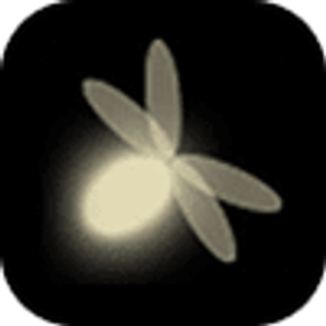 Fireflies Candle Company