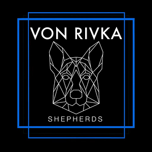 Von Rivka Shepherds