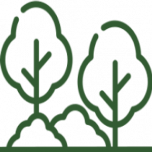 The Green Elites Landscaping LLC dba The Green Elites Construction Group