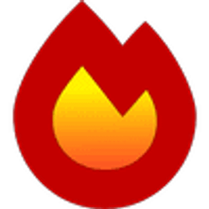 The Fire Place - Chimney Services - Logo
