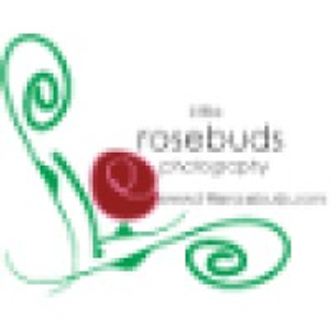 Little Rosebuds Photography - Logo