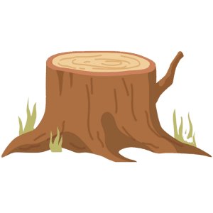 Austin Tree Service Pros - Tree service in Austin