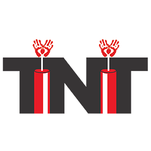 TNT Tax Services - Logo