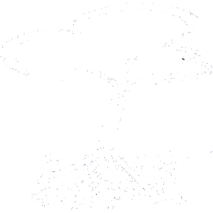 Frayer & Associates CPA PC