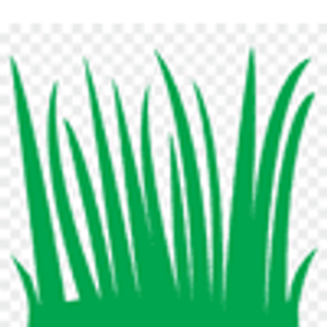 The Whole 9 Yards Lawn & Landscaping - Logo