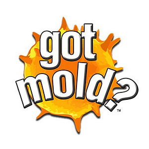 got mold? Saskatoon - Logo