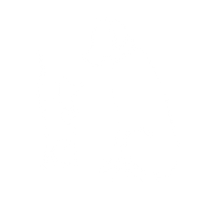Town and Country Animal Hospital - Logo