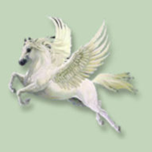 Pegasus Massage & Spa - Logo