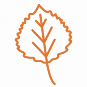 Aspen Cleaning - Logo