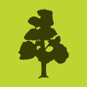 Raintree Apartments
