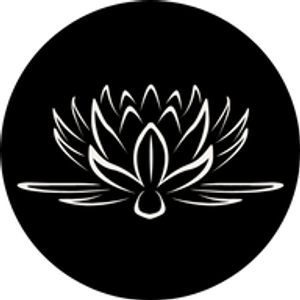 Shandon Esthetics & Wellness - Logo